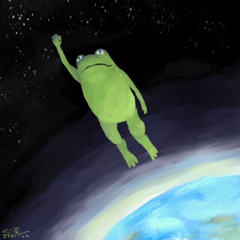 Magic Space Frog