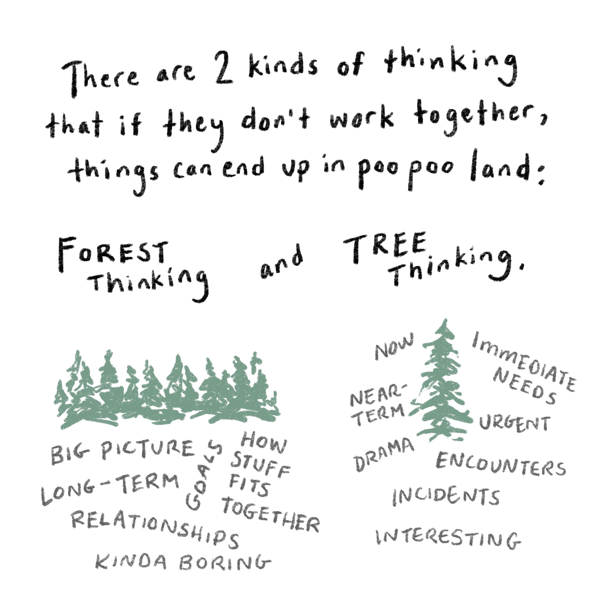 Forest and Tree Thinking