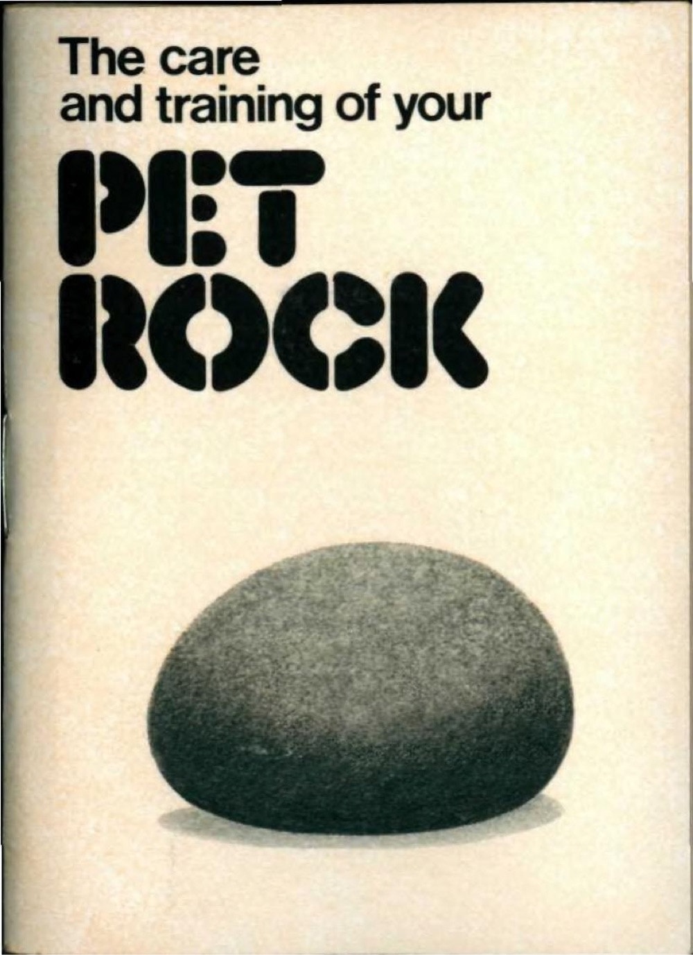 Pet Rock Manual